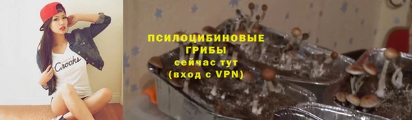 стафф Абдулино